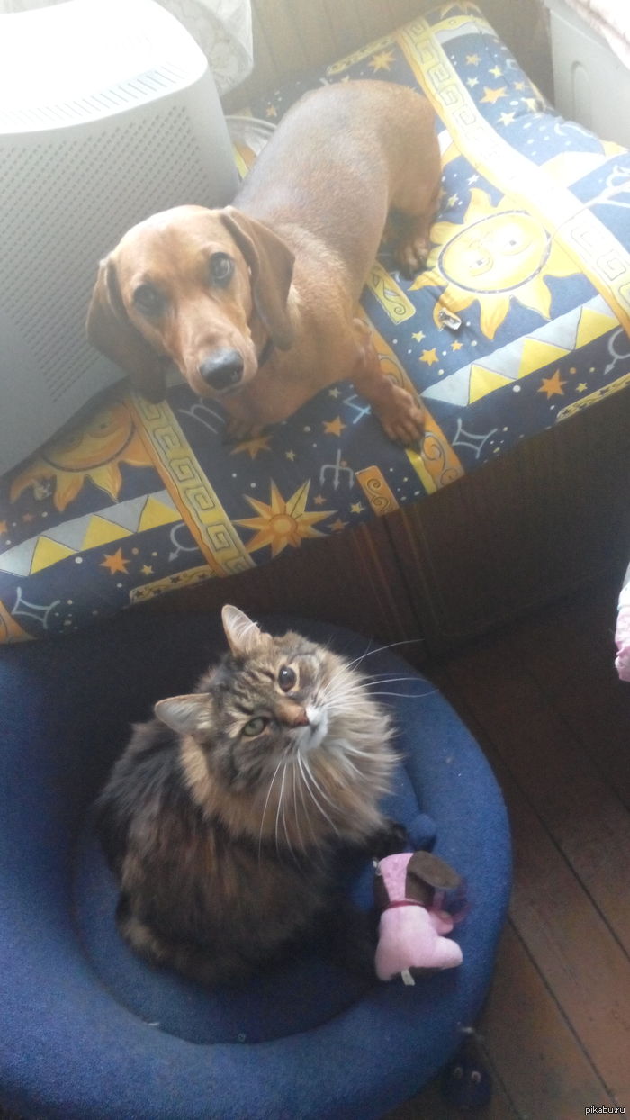 ��� � ��� ��������=)