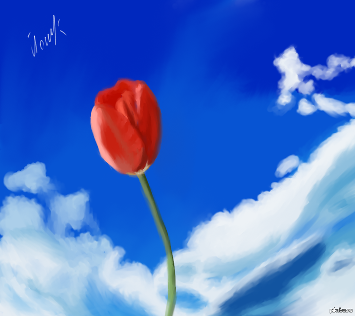 ���� ����� ^_^