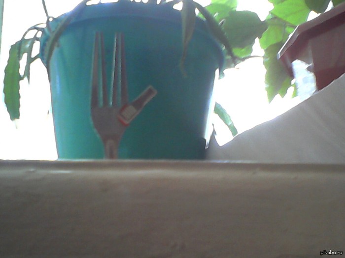 ���� ����