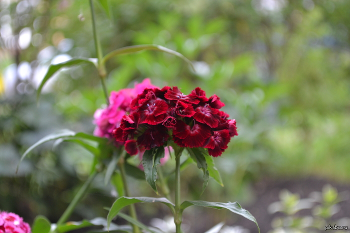 ���������� �����