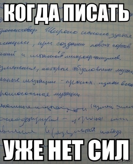 Первая пара