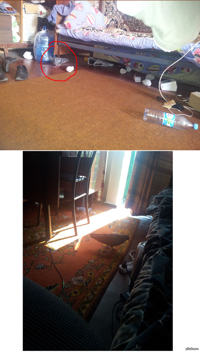 ����� � ������ ������ ������.