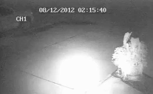 А я что? Я ничего!