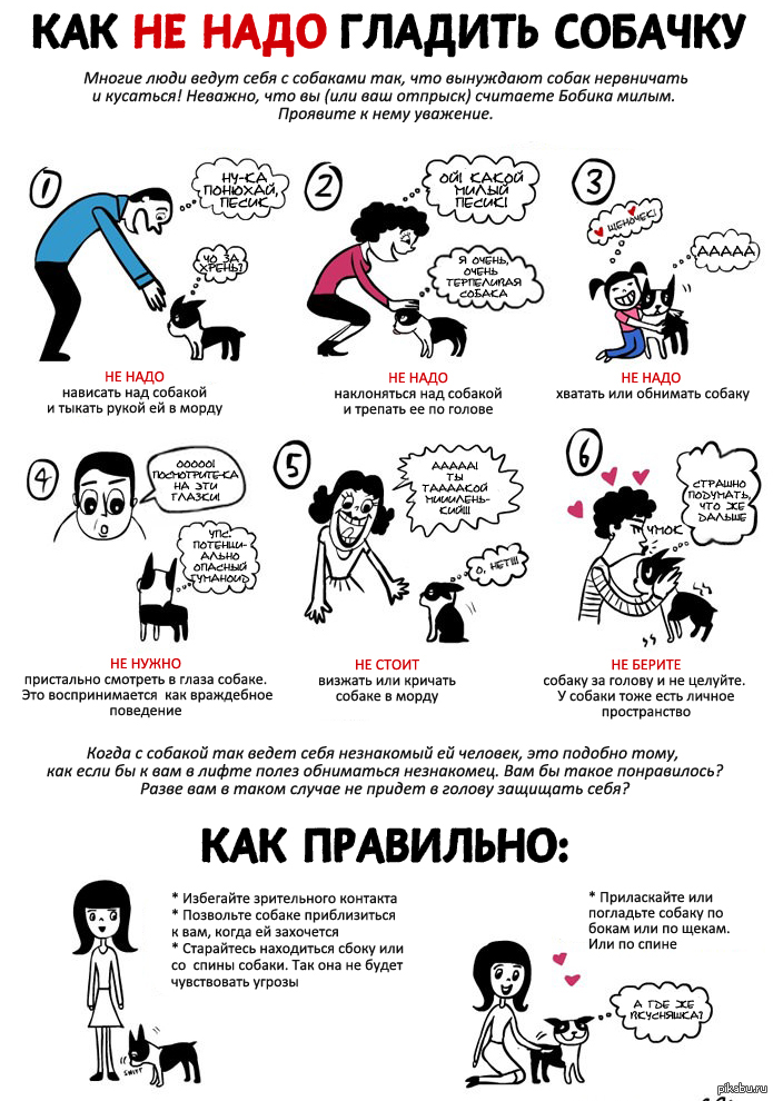 � �������