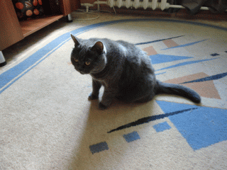 ��� ������ �����, �� ������ ������...
