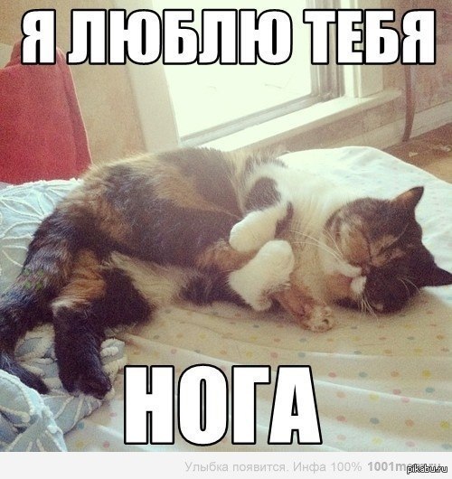 ����� ����� ���� ����:)