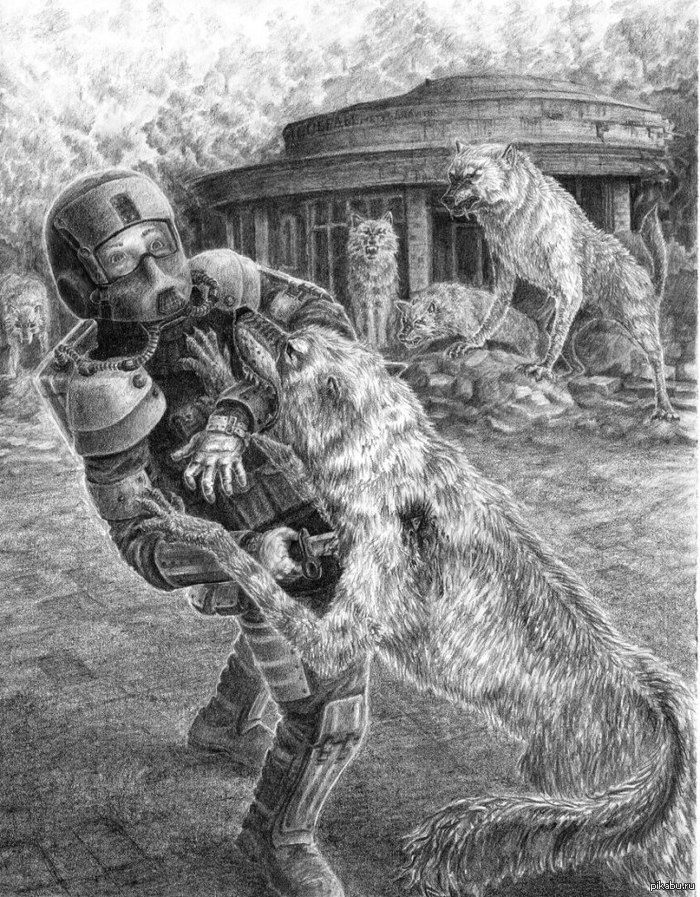 � ����� (������ ������)