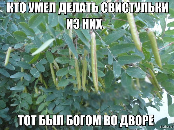 Свистульки | Пикабу