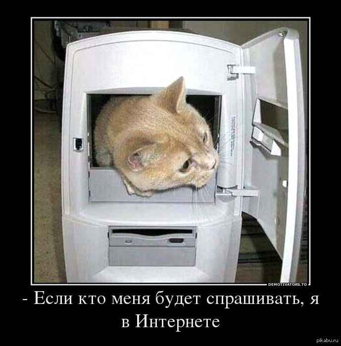 �������� ���������� ��� ������