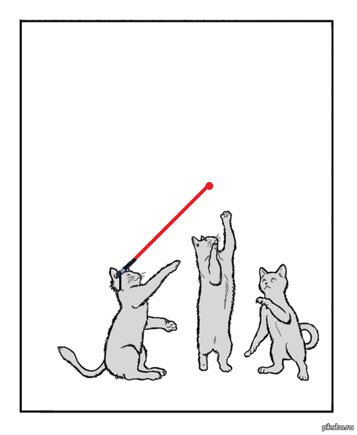 Кот с указкой. Кот играет с лазерной указкой. Лазерная указка для кота. Кот и лазерная указка рисунок. Кот и лазерная указка комикс.