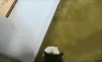 U have catnipz(Мята есть?)