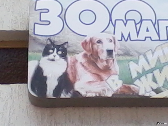 ����� ����: "����� � ���� ������ ������� ��� ����� ����!"