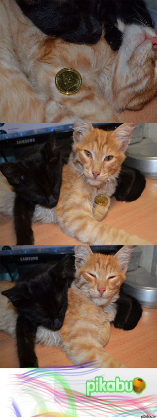 ����� 10-�� �������� ������� ^_^