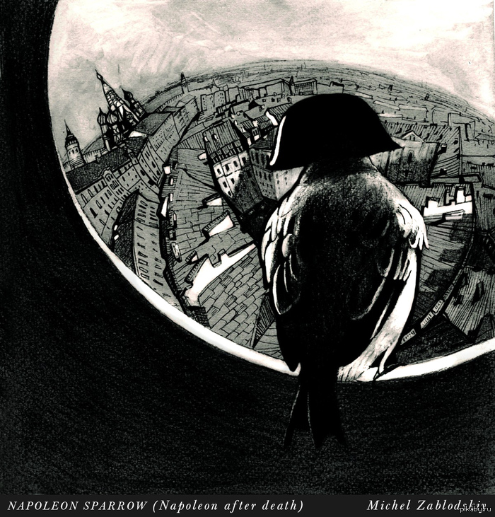 ��������-�������