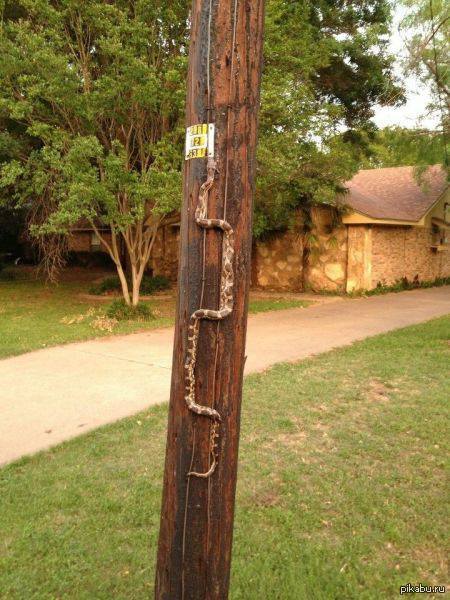 3D ������