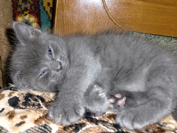 � ������������, ������=)