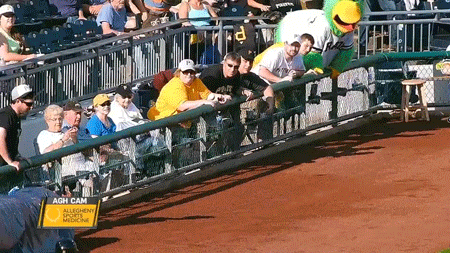 Почти поймал