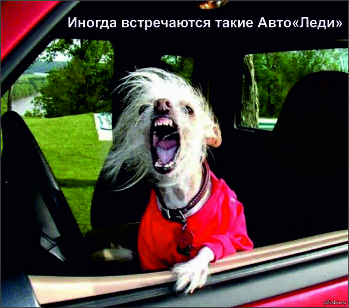    ,             ,       !