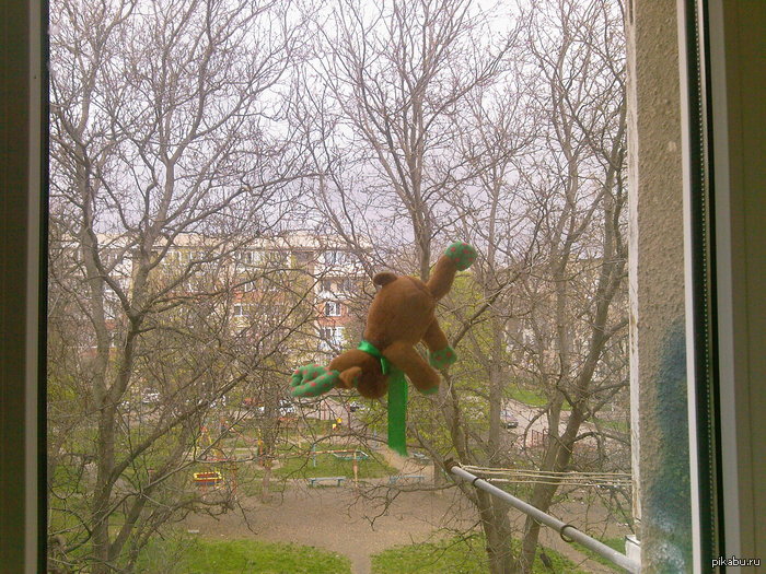 �������� �����