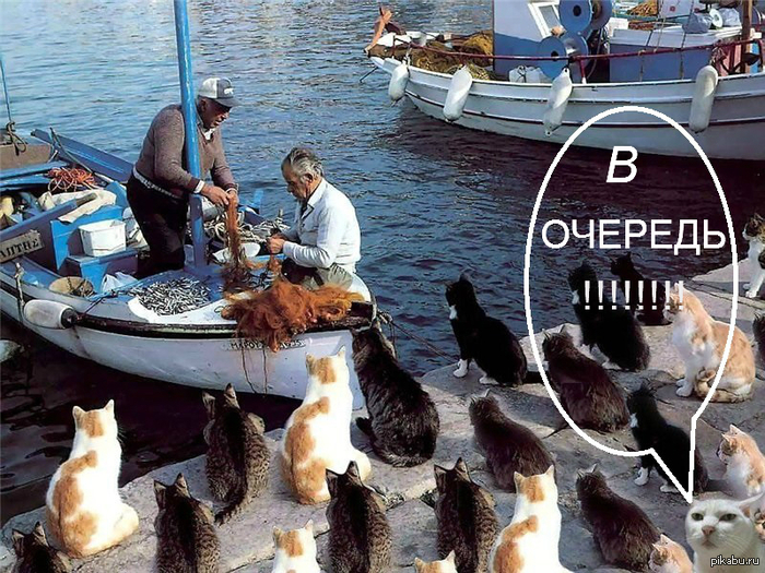 на всех может и не хватить...