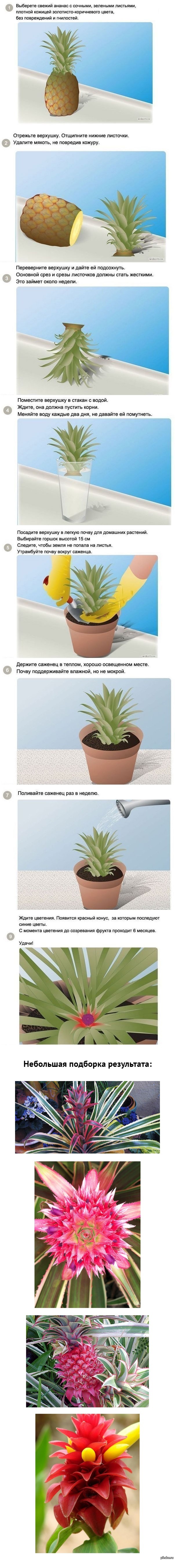 ����������� ������� � �������� ��������