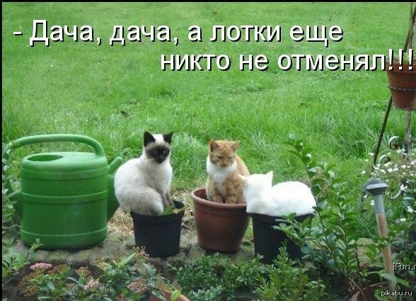 ���� ����� ����� ������)