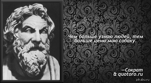 Чем больше узнаю людей тем больше. Чем больше узнаю людей тем больше люблю собак. Чем больше узнаю людей. Чем больше узнаю людей цитаты.