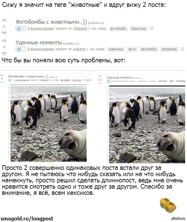 Просто решил сделать длинннопост