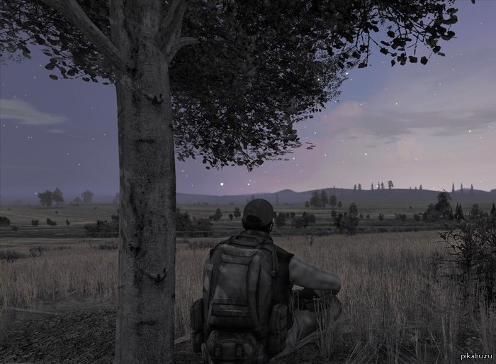    DayZ?        =)  ,   )