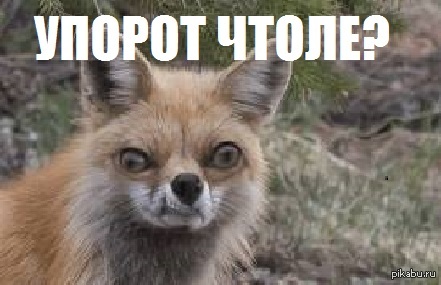 Упорен упорот