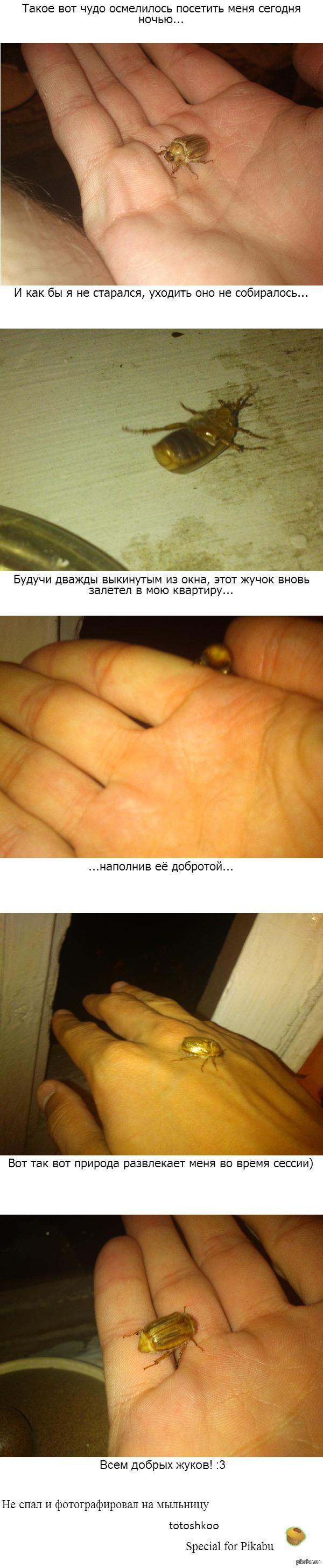 [����������] � ������ �� ����� ������...