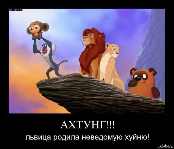 Винни, что ты делаешь? | Пикабу