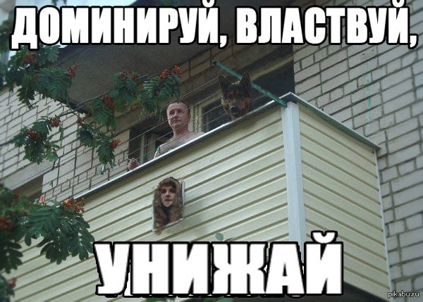 In light of recent events - Domination, Dog, Balcony, Russia