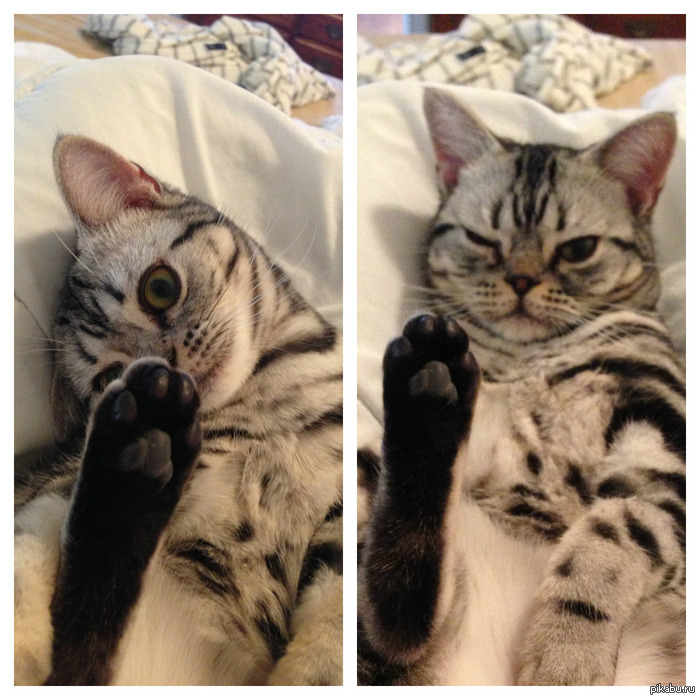 Ты когда-нибудь видел..