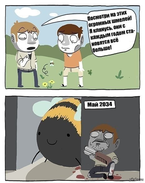 Шмели | Пикабу
