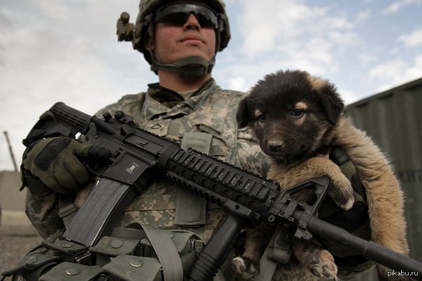 ����� �����