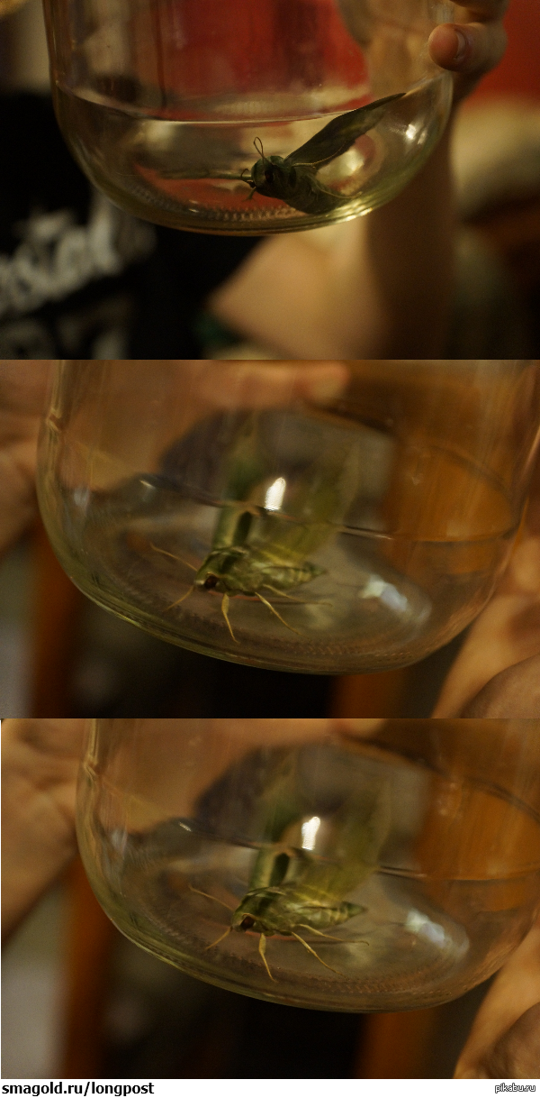 � ������ ���������������� ��� ����� ����. ��������� ��� ��� ���������, ��� ����� ������, � ����� ��� ��� ��������� :)