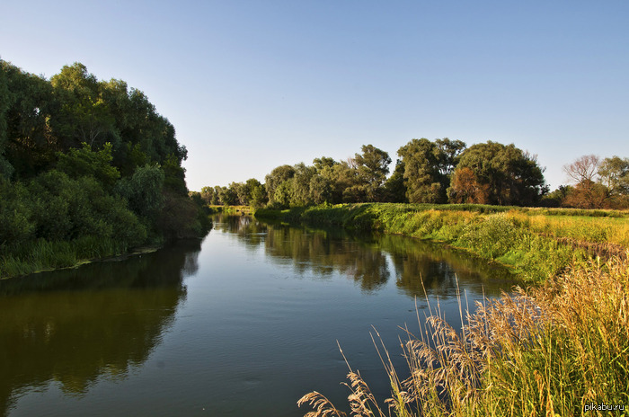 Поддержим Хоперский заповедник в голосовании за символ России!