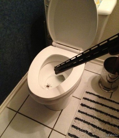 ��� ���� ������.