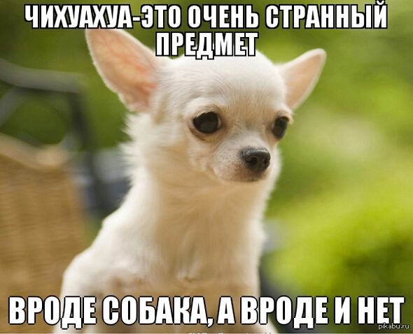 Зато милые)