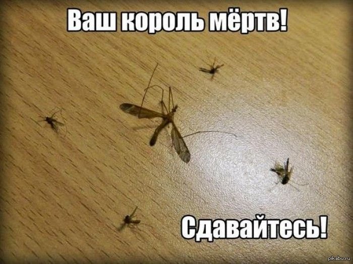 Победа