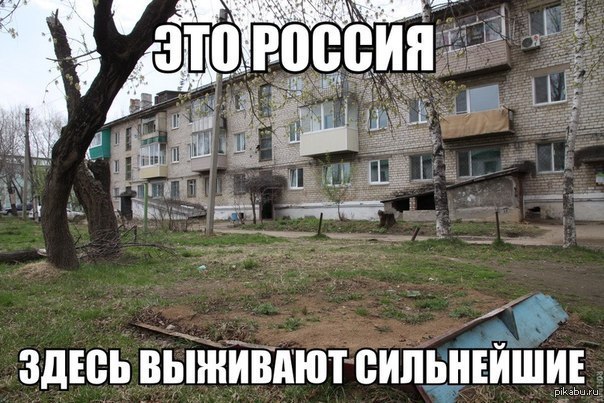 Тут вся россия