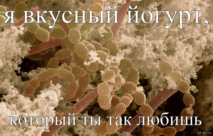 приятного аппетита