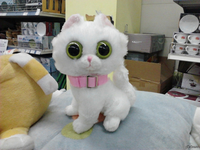 ������� - ���, ������� ������ ������