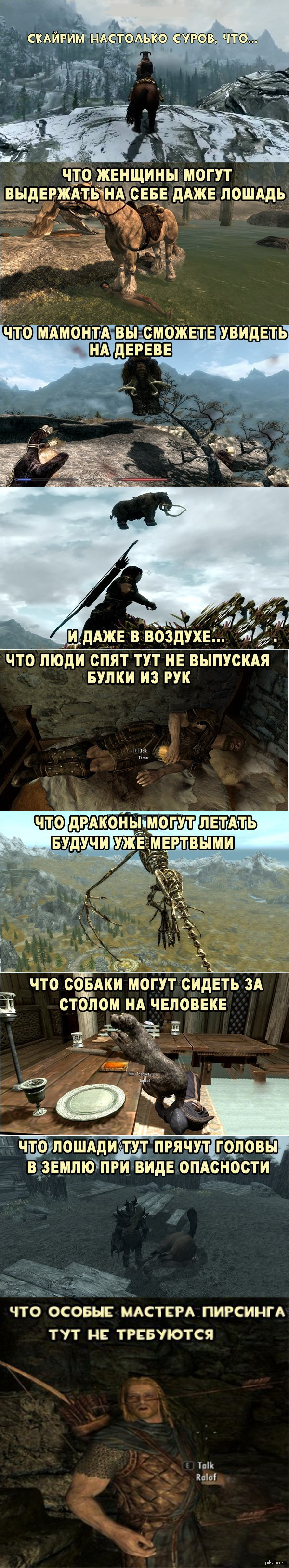  Skyrim.