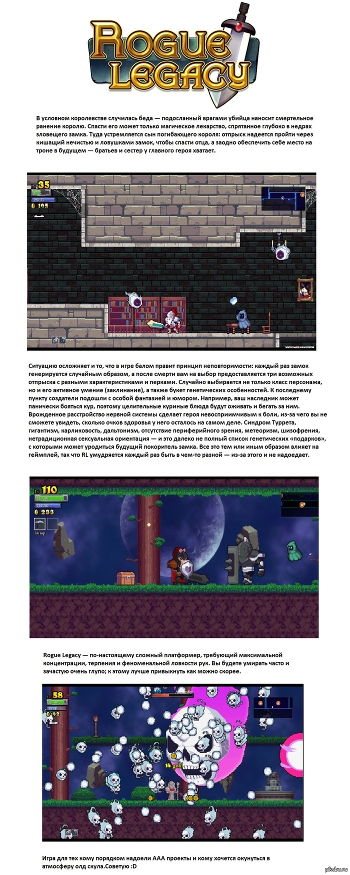 Rogue Legacy        -