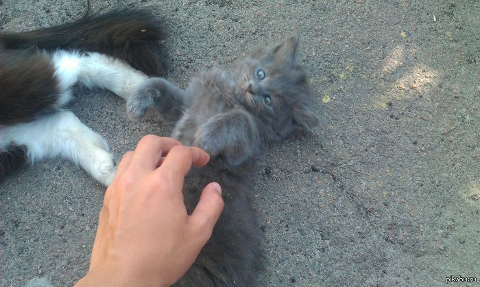 ����� ����� ��������� ����������� :3