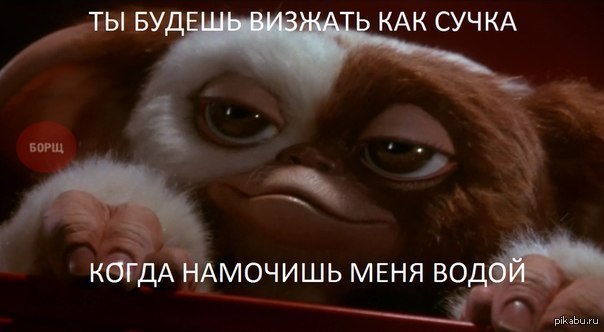 ��� ������ ???