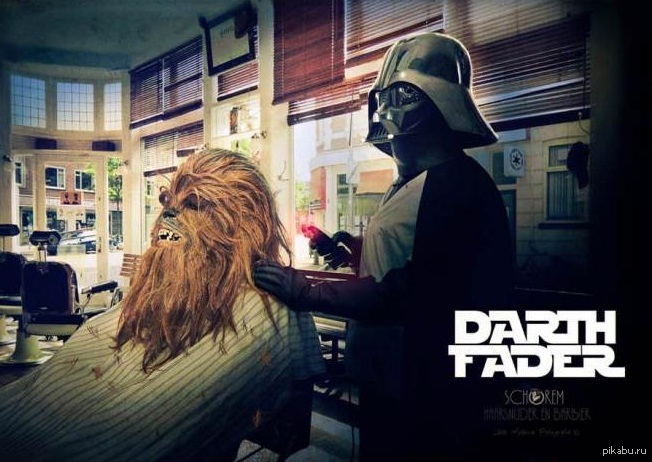 ����������.