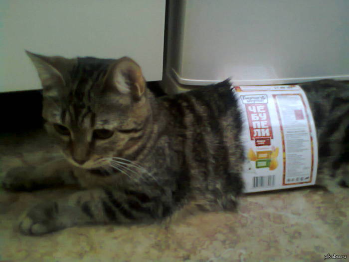 ������������ ������ ��������